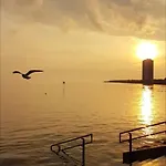 Deichgraf - Hedwig Meine Perle *