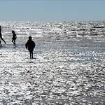 Apartment Deichgraf - Hedwig Meine Perle